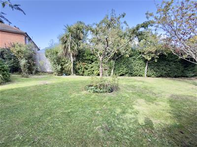 Picture 30